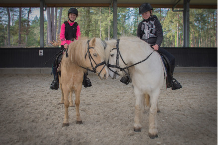 Manege bij Camping Samoza in het bos op de Veluwe VMP090